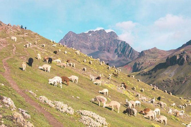 rainbow-mountain-red-valley-first-ones-to-arrive6-small-group