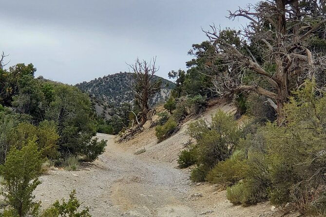 red-rock-canyon-half-day-jeep-tour-offroad-adventure