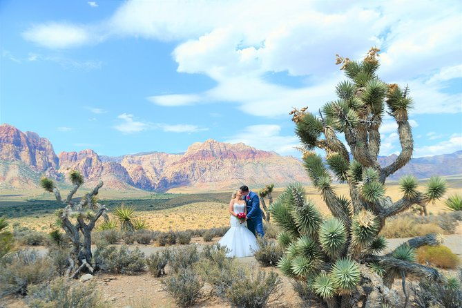 red-rock-canyon-wedding-by-private-limousine-2