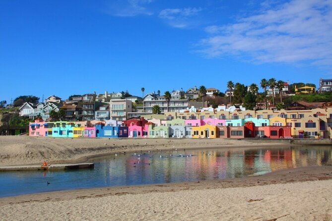 redwood-forest-santa-cruz-harbor-1-day-trip-from-san-francisco