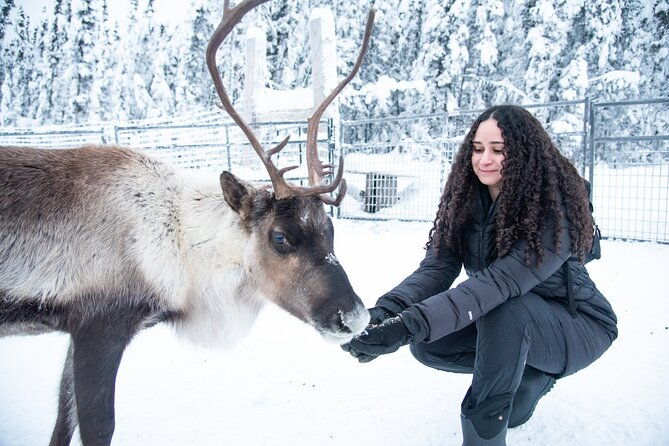 Reindeer and Snowmobile Day Trip to Borealis Basecamp With Lunch