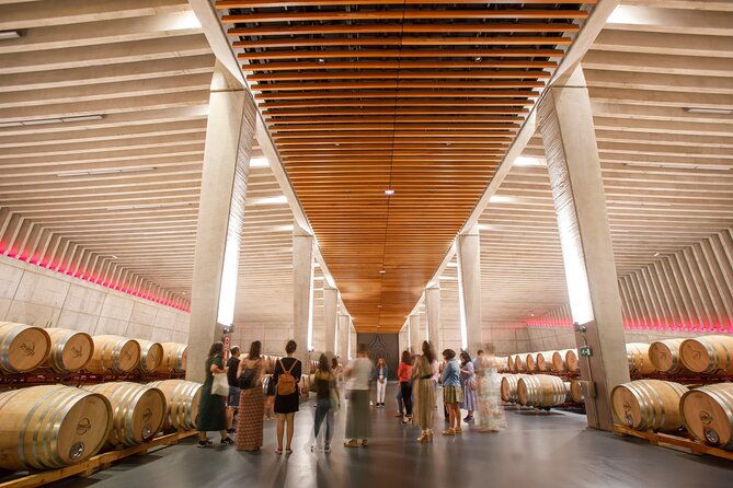 ribera-and-rioja-wineries-private-tour-from-madrid