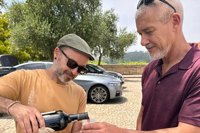 ride-through-romantic-foz-in-an-eco-friendly-car