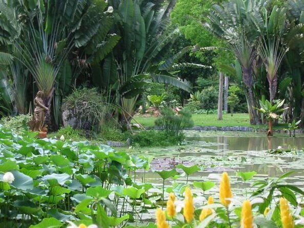 rio-de-janeiro-botanical-garden-tour