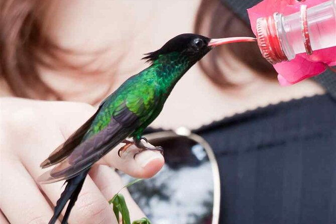 rockland-bird-sanctuary-private-tour