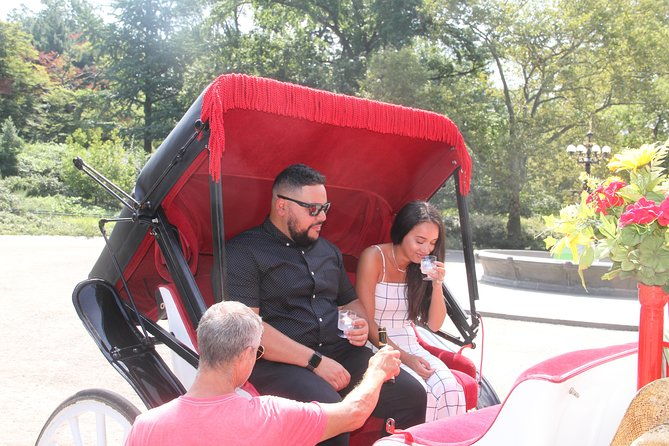 romantic-proposal-central-park-carriage-tour-up-to-4-adults