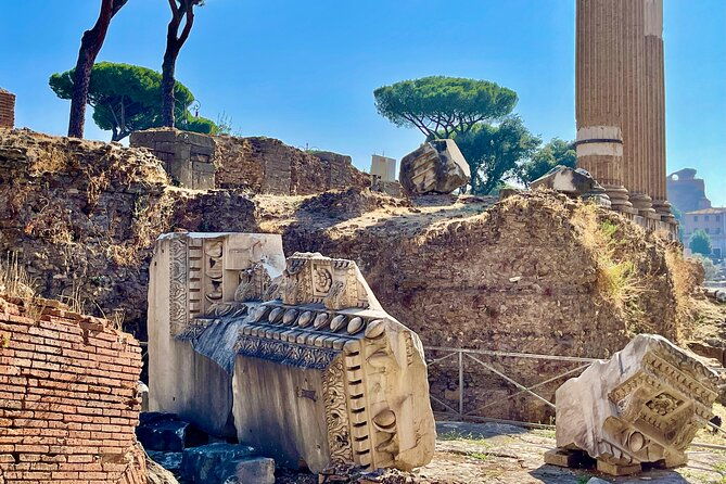 rome-colosseum-roman-forum-palatine-hill-panoramic-views-tour