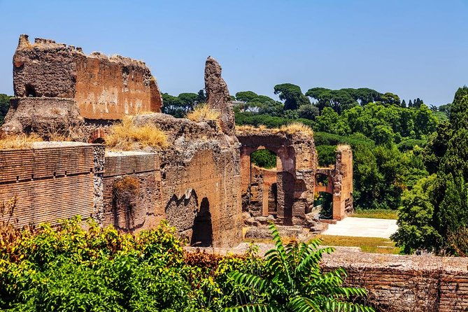 rome-exclusive-caracalla-bath-private-guided-tour-vip-entry