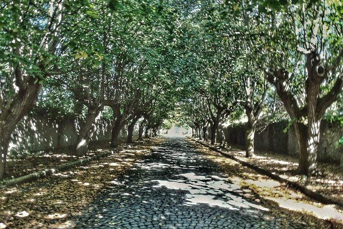 rome-frascati-vineyard-bike-tour-with-train-tickets