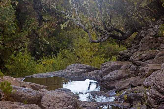 rosemary-levada-levada-do-alecrim-full-day-walk