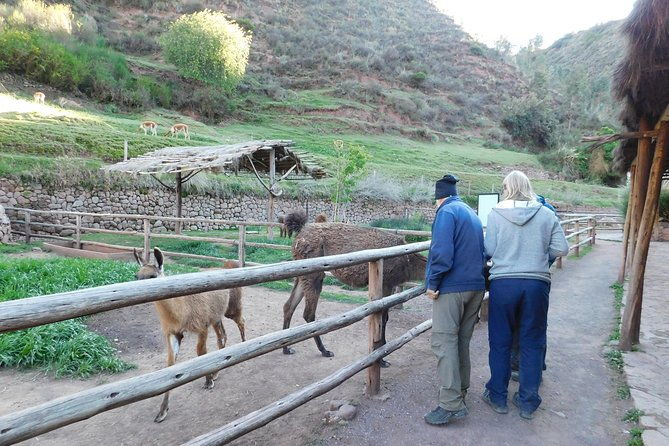 sacred-valley-tour-from-either-urubamba-or-ollantaytambo