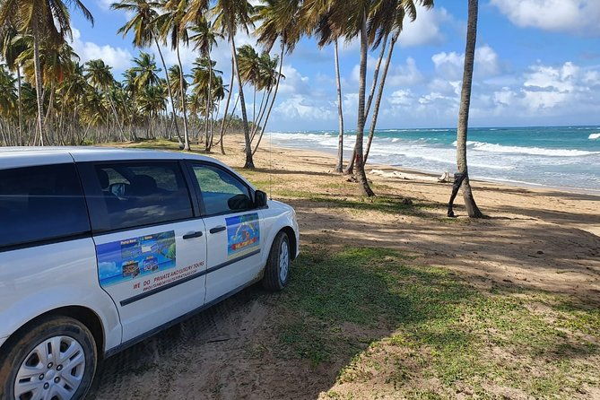 safari-full-day-vip-experience