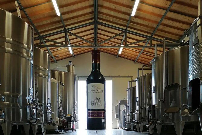 saint-emilion-2-hours-visit-of-the-vineyard-the-cellar-and-tasting