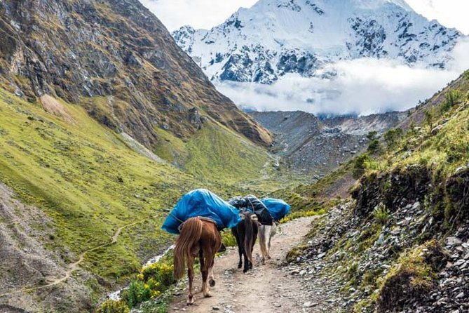 salkantay-trek-4-days-to-machu-picchu-best-trek-in-peru