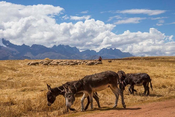 salt-mines-at-maras-and-hiking-to-tours-of-sacred-valley