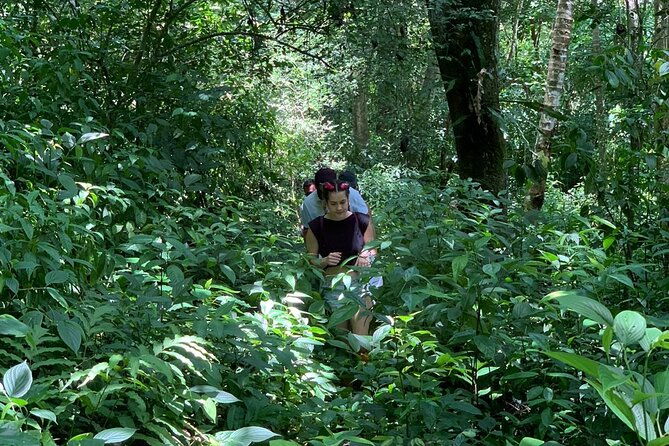 salto-de-la-jalda-leaping-la-jalda-hiking-or-horse-riding-by-rain-forest