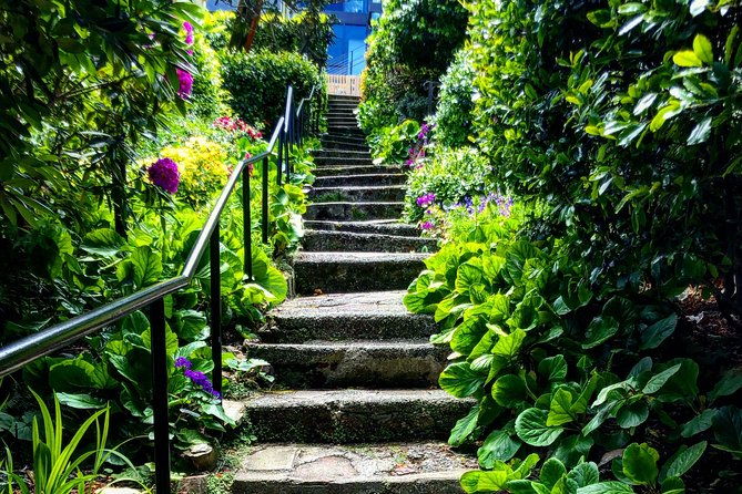 san-francisco-four-peaks-tour