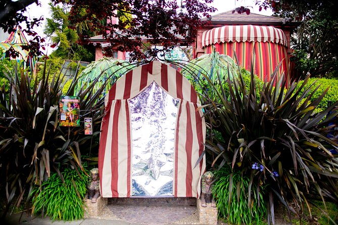 san-francisco-gregangelo-museum-immersive-art-garden-tour