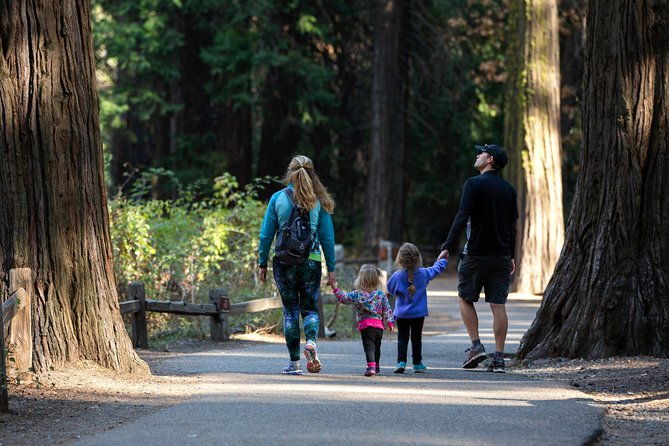 San Francisco: Yosemite National Park and Giant Sequoia Day Tour