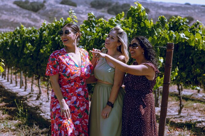 ​Santa Ynez Wine Tour With Tastings and ​Lunch ​From ​Santa Ynez