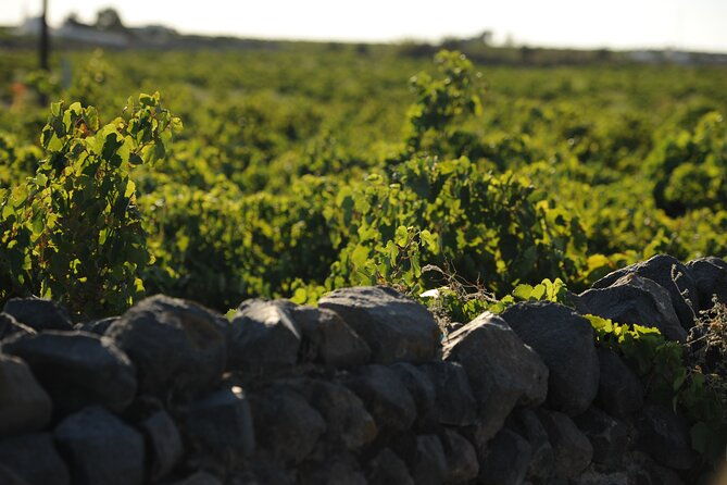 santorini-private-10-wine-tastings-with-dinner-oia-sunset