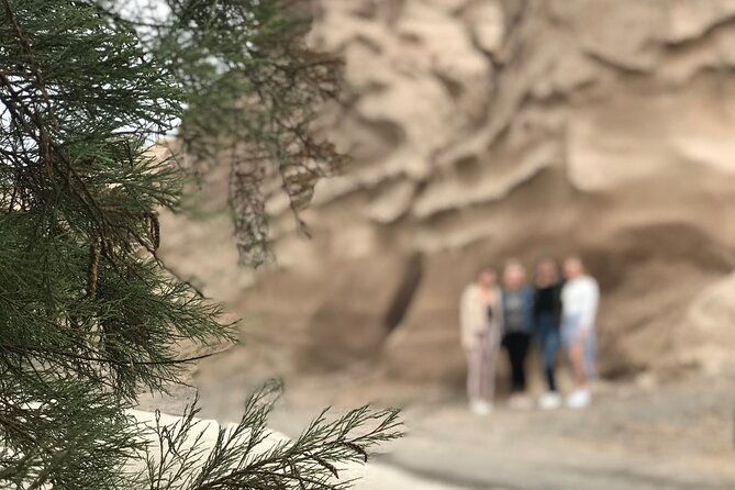 santorini-wine-tasting-and-traditional-cave-settlement-tour