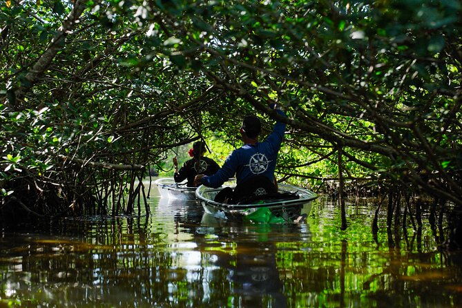 Sarasota Clear Kayak Tour