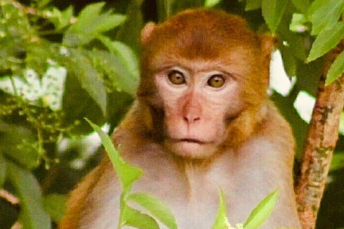 sassys-silver-springs-kayak-and-paddleboard-tours-2