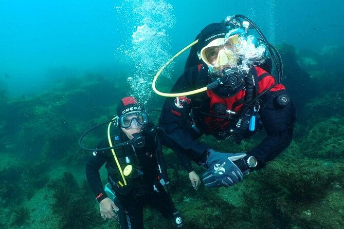 scuba-diving-experience-2