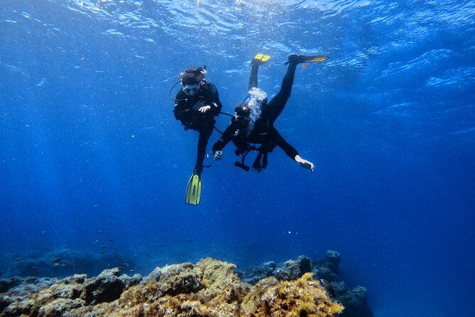 scuba-experience-in-tenerife-with-guide-2