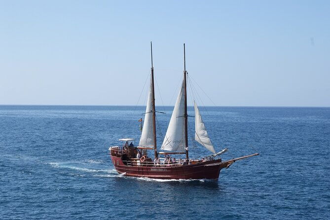 sealife-dolphin-whale-watching-aboard-portuguese-schooner