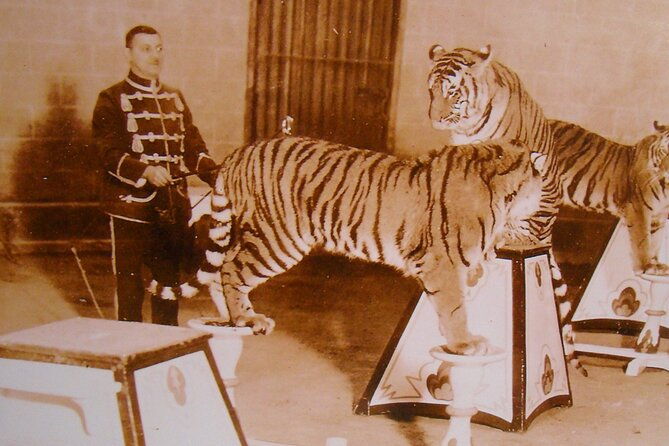 self-guided-walking-tour-of-benson-park-hudson-nh