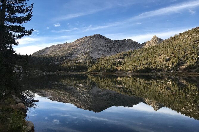 Sequoia Full Day Private Tour and Hike