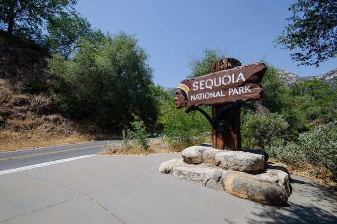 sequoia-park-private-tour