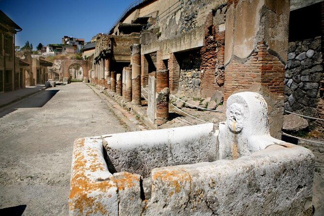 skip-the-line-half-day-private-tour-of-herculaneum-highlights-with-local-guide