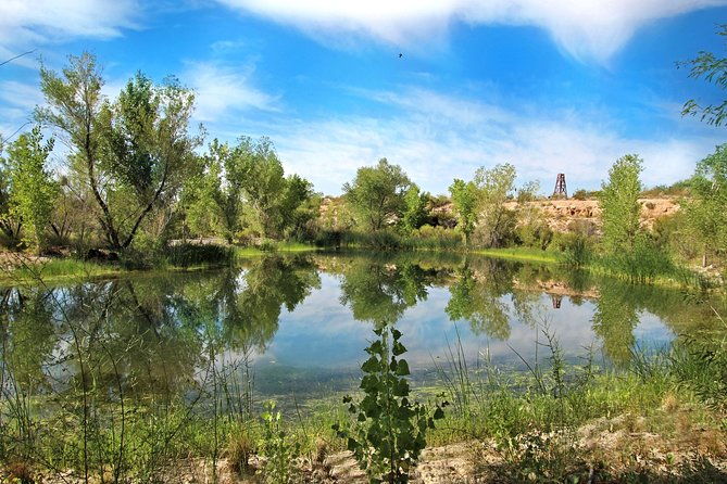 Skip the Line: Springs Preserve in Las Vegas Admission Ticket