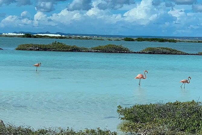 small-group-guided-north-south-tour-of-bonaire-with-pick-up