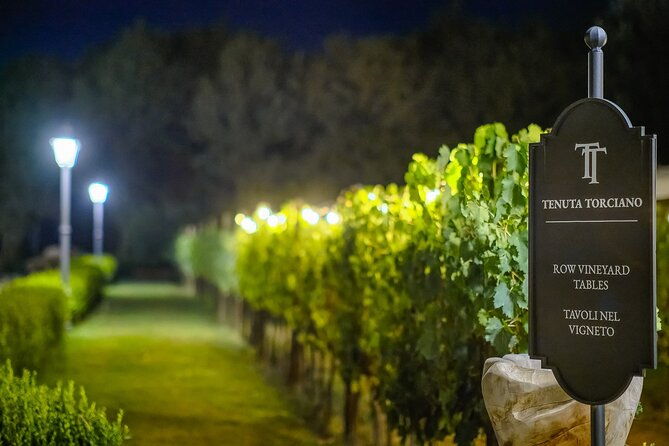 small-group-winery-tour-with-tasting-and-dinner-in-chianti-vineyards