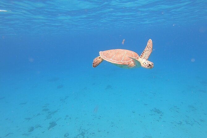 snorkeling-gear-rental