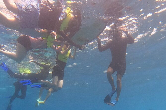 Snorkeling With Turtle/Water Scooter/Paddleboard Adventures Oahu