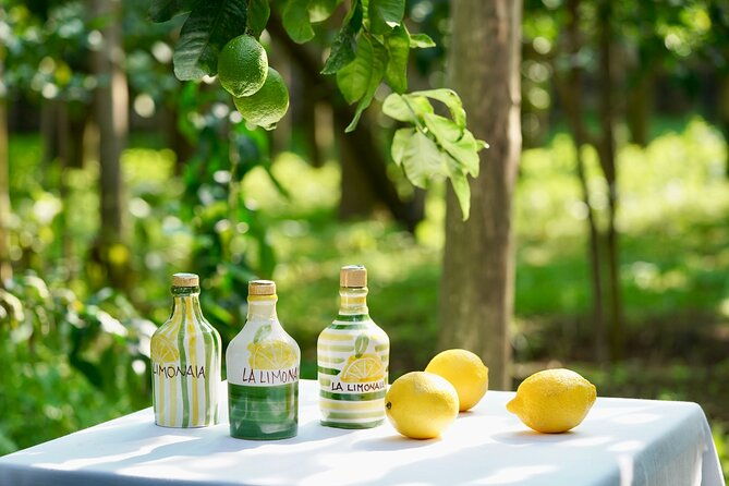 sorrento-lemon-grove-experience-with-local-product-tasting