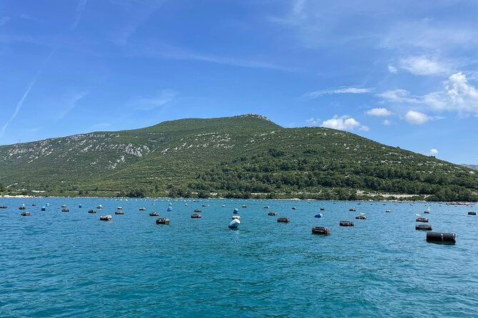ston-seafood-peljesa-wine-boat-tour-with-oysters-and-mussels