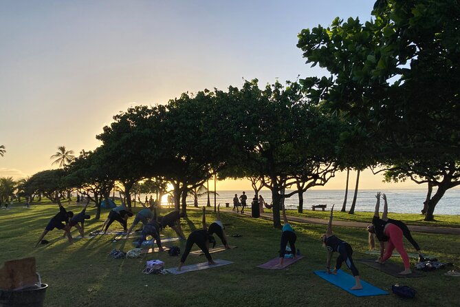 sunset-yoga-flow-at-magic-island