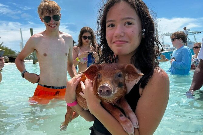 swim-with-the-pigs-safari-in-bahamas-2hrs