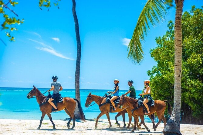 swimming-with-horses-at-the-beach-from-punta-cana-free-transportation