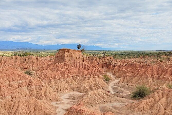tatacoa-desert-day-trip-live-discover-and-connect
