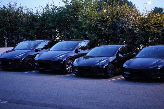 tesla-private-driver-from-cdg-or-orly-airports-to-paris-2