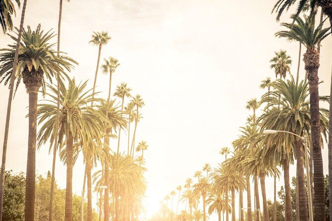 The Best Transfer to Los Angeles International Airport (LAX)