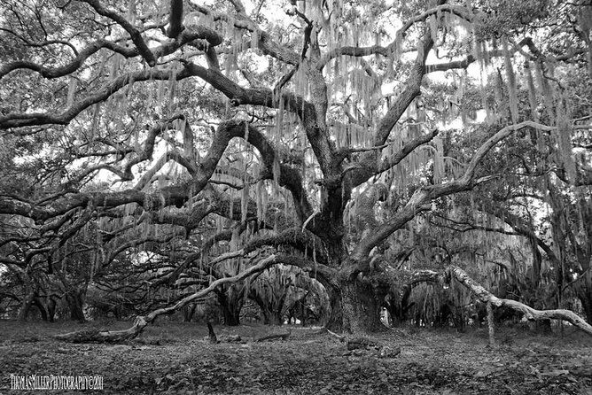 the-blackest-ghost-tour-ages-17-and-above