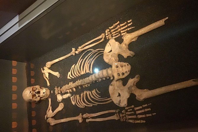 the-freemasons-tour-of-london